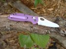 Purple%20Low%20Rider%20001.jpg