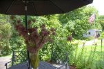 Giant Alium Arrangement.jpg