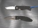Emerson & Avalanche rs.jpg
