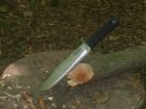 Timber.jpg