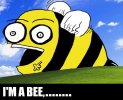 Bee.jpg