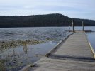 ACDAfishinspot1.jpg
