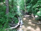 IMG_0479.jpg