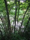 IMG_0510.jpg