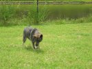 DSCN0717.JPG