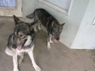 DSCN0720.JPG
