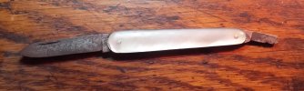 Robeson shuredge mop 3.jpg