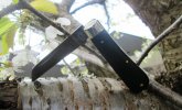 AW Ebony Lambsfoot 28-3.JPG