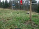 DSCF9752 GRASS GROWS HUMMINGBIRD FEEDER 650 MED.jpg
