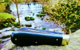 AW Ebony Lambsfoot 22-8.JPG