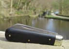 AW Ebony Lambsfoot 27-6.JPG
