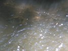 swim hole 2.jpg