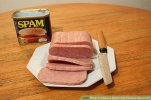 aid409704-v4-728px-SliceSpam-Step-4.jpg