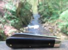 AW Ebony Lambsfoot 29-4.JPG