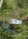 20180428_162411.jpg