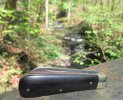 AW Ebony Lambsfoot 29-2.JPG