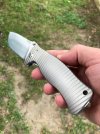 lionsteel3.jpg lionsteel3.jpg