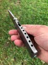 lionsteel4.jpg lionsteel4.jpg