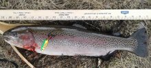 20180425_190136[1350].jpg