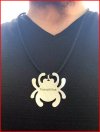 BugD_051018.jpg