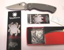 113V PM2 Maxamet.jpg