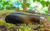 AW Oxhorn Lambsfoot 5-5.JPG