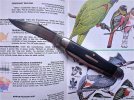 Queen-oiseaux.jpg