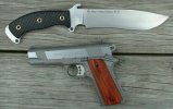 busse mojo  colt.jpg