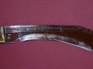 dsc00021.jpg