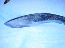 img_0019.jpg