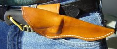 coot_on_belt_sm.jpg