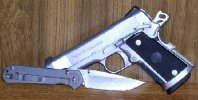 gun close.jpg