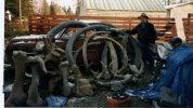 lots of tusks 2.jpg