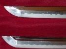 dsc00209.jpg
