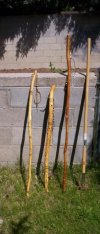 sticks1.jpg