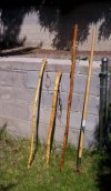 sticks2.jpg
