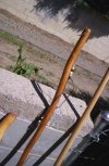sticks4.jpg