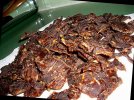 DSCN0893.jpg
