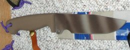 Euro6_DesertCamo.jpg