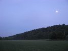 IMG_0559.jpg