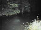 IMG_0565.jpg
