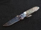 Abalone folder&fighter 003.jpg