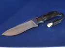 Abalone folder&fighter 014.jpg