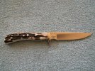 405 Stag a copy.jpg