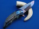 coral folder 2 024.jpg