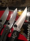spyderco4.jpg