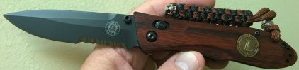BM Ares Leupold (2).JPG