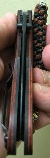 BM Ares Leupold (6).JPG