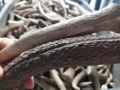 20180524_143506-01.jpeg