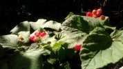 20170805_201327-small.jpg